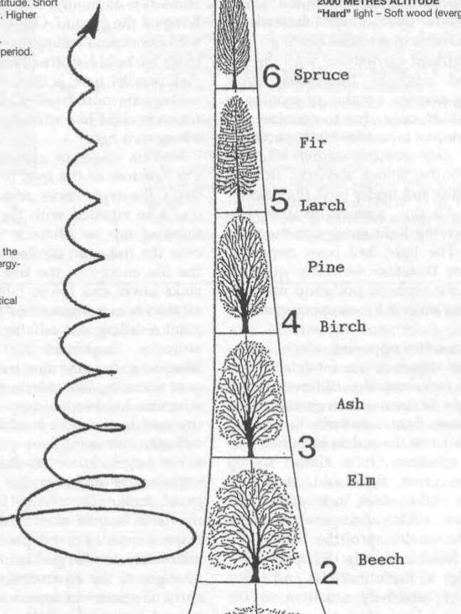 Varius leo fermentum